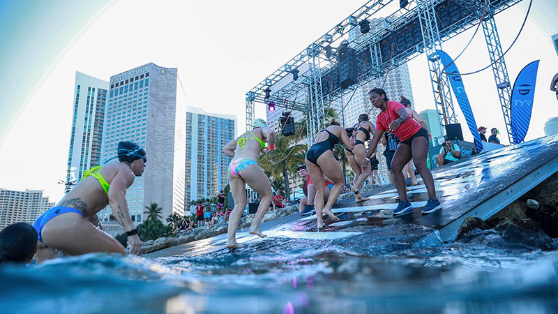 Athletes climbing out of the bay during an open-water event